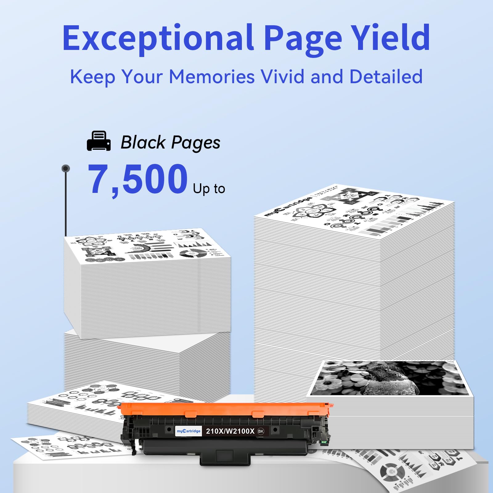 HP 210X Compatible Toner Cartridge With Chip(2 Black)