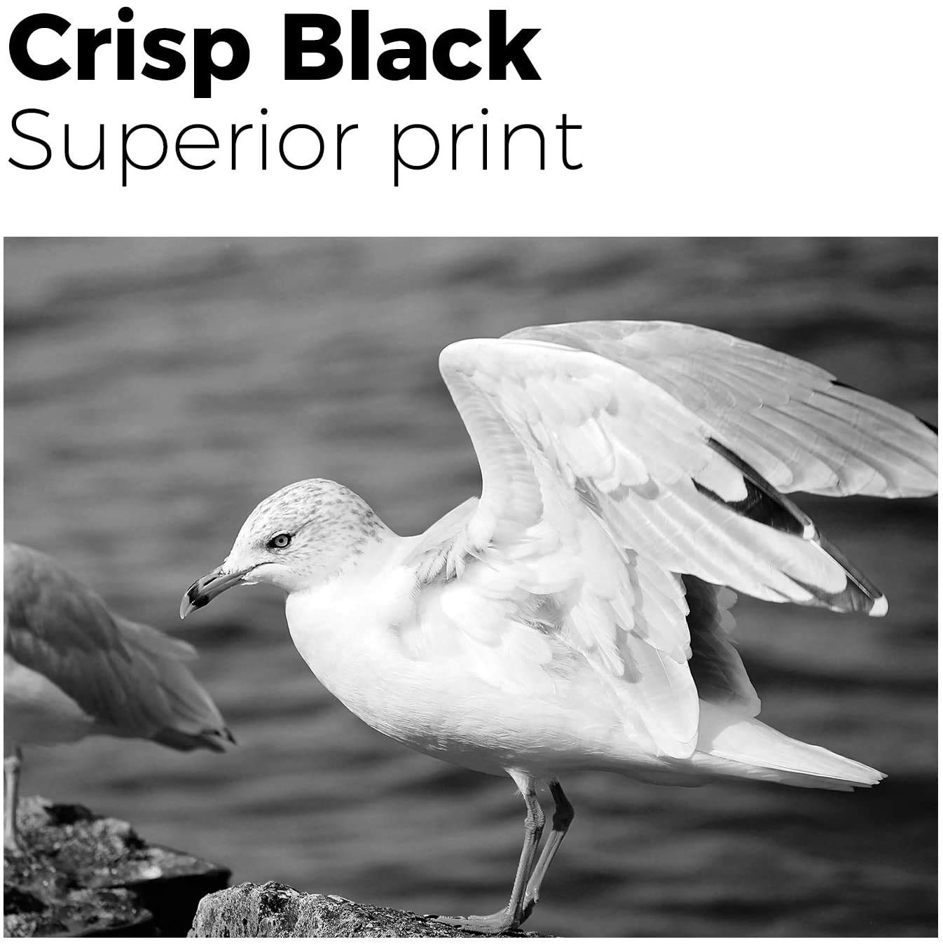 Compatible Brother TN450 Toner Cartridge   (4 Black)